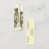 ヴィンテージの解剖学|の背筋(1852年頃) スキニー名刺 (正面/裏面)
