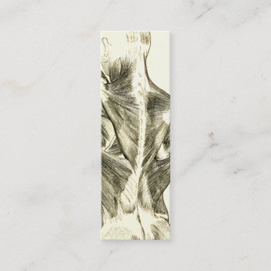 ヴィンテージの解剖学|の背筋(1852年頃) スキニー名刺 (正面)