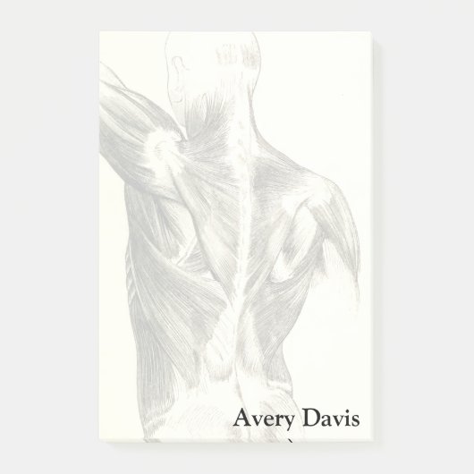 ヴィンテージの解剖学|の背筋(1852年頃) ポストイット (正面)