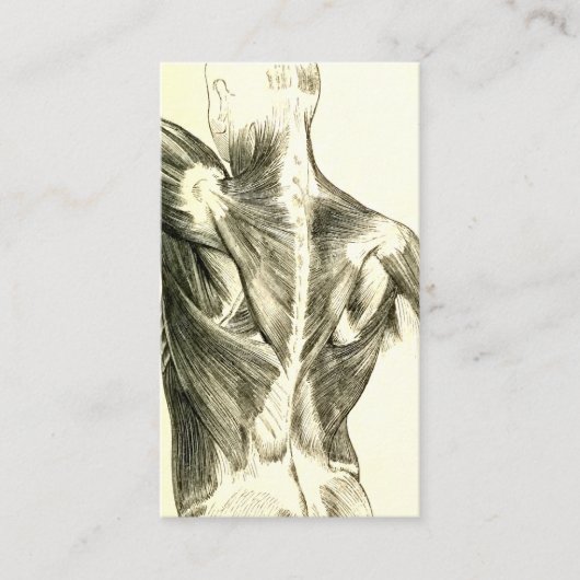 ヴィンテージの解剖学|の背筋(1852年頃) 名刺 (正面)