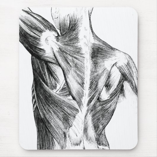 ヴィンテージの解剖学|の背筋(1852年頃) | B/W マウスパッド (正面)