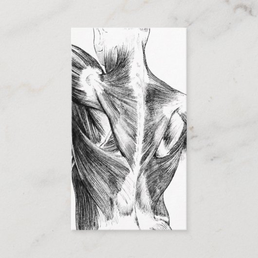 ヴィンテージの解剖学|の背筋(1852年頃) | B/W 名刺 (正面)