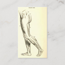 ヴィンテージの解剖学|の足筋肉II (ca. 1852年) 名刺