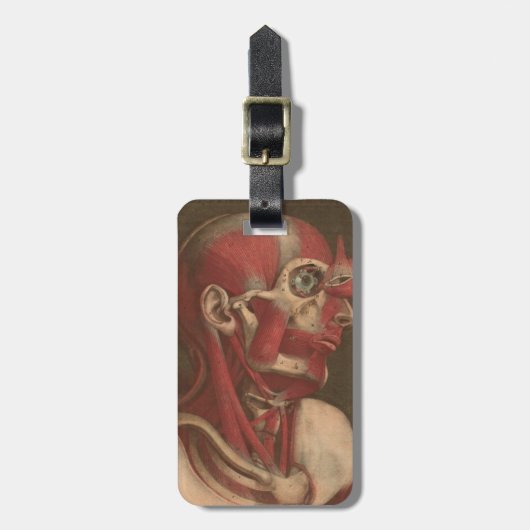 ヴィンテージの解剖学|の頭部、首および肩 ラゲッジタグ (正面縦)