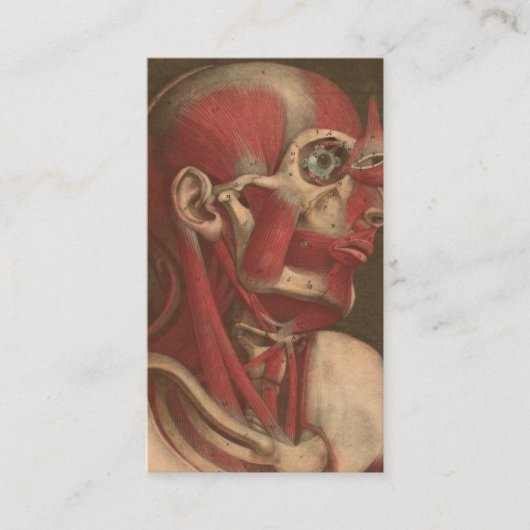 ヴィンテージの解剖学|の頭部、首および肩 名刺 (正面)