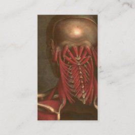 ヴィンテージの解剖学|の首および肩 名刺