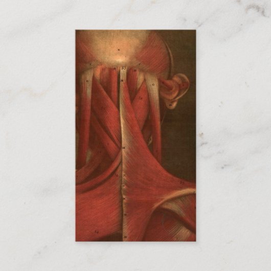 ヴィンテージの解剖学|の首 名刺 (正面)