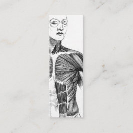 ヴィンテージの解剖学| B/Wの胴(1852年頃) スキニー名刺