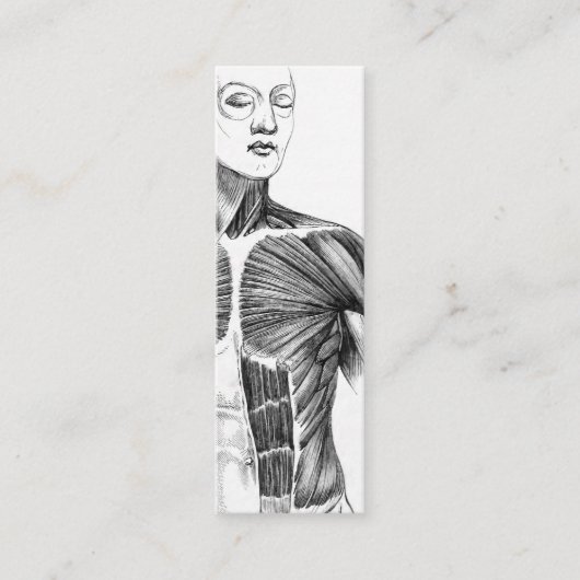 ヴィンテージの解剖学| B/Wの胴(1852年頃) スキニー名刺 (正面)