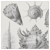 ヴィンテージの貝殻 ファブリック (見本)