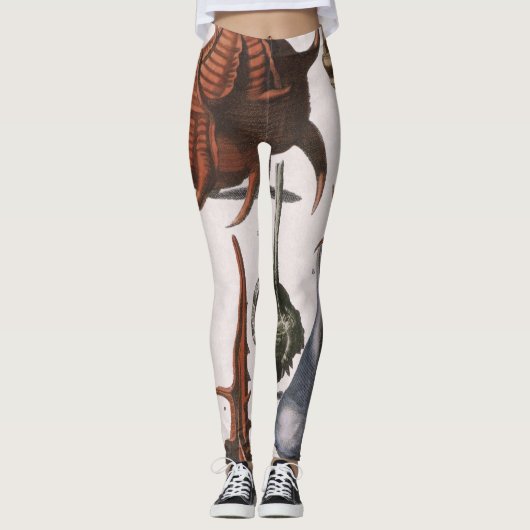 ヴィンテージの貝殻、海洋の貝殻、海洋生物 レギンス (正面)