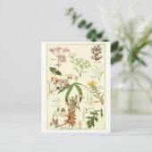 ヴィンテージの賢明なイラストレーションの郵便はがきのレシピカード ポストカード (スタンド正面)