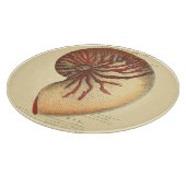 ヴィンテージの赤いコンシュの貝 カッティングボード (角)