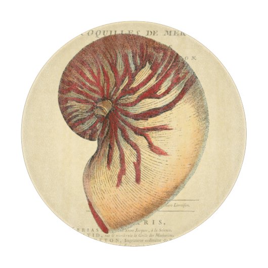 ヴィンテージの赤いコンシュの貝 カッティングボード (正面)