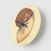 ヴィンテージの赤いコンシュの貝 ラウンド壁時計 (傾斜)