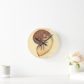 ヴィンテージの赤いコンシュの貝 ラウンド壁時計 (ホーム)