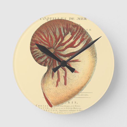 ヴィンテージの赤いコンシュの貝 ラウンド壁時計 (正面)