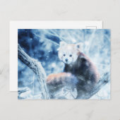 ヴィンテージの赤いパンダの雪 シーズンポストカード (正面/裏面)