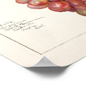 ヴィンテージの赤ぶどう果実絵画の ポスター (角)