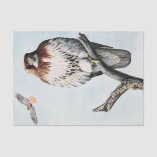 ヴィンテージの赤毛 薄葉紙 (正面)