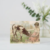 ヴィンテージの農村の少女が子牛に餌を与える ポストカード (スタンド正面)