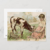 ヴィンテージの農村の少女が子牛に餌を与える ポストカード (正面/裏面)