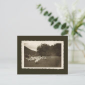 ヴィンテージの郵便はがき-ガチョウおよび馬 ポストカード (スタンド正面)