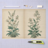 ヴィンテージの野の花プリント 薄葉紙 (クラフト)