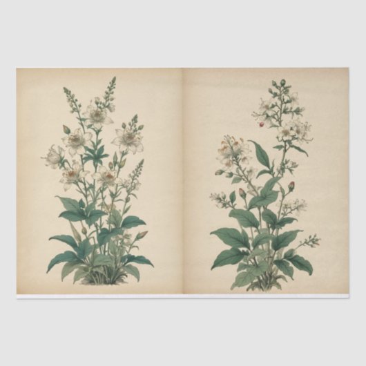 ヴィンテージの野の花プリント 薄葉紙 (正面)