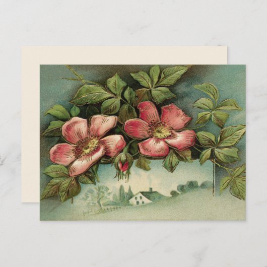 ヴィンテージの野生のバラ ポストカード (正面/裏面)