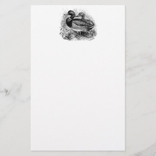 ヴィンテージの野生のマガモはパーソナライズなテンプレートを引込めます 便箋 (正面)