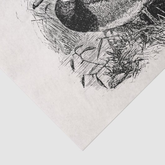 ヴィンテージの野生のマガモはパーソナライズなテンプレートを引込めます 薄葉紙 (詳細)