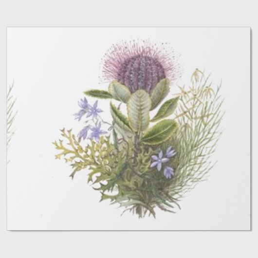 ヴィンテージの野生の花のアザミ ラッピングペーパー (フラット)