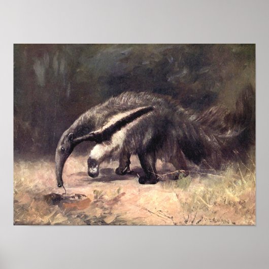 ヴィンテージの野生動物、クツワムシクイ by CE スワン ポスター (正面)