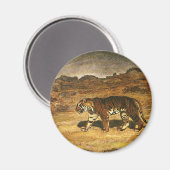 ヴィンテージの野生動物、ベンガルトラが平原を歩く マグネット (正面/裏面)