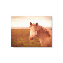 ヴィンテージの野生馬