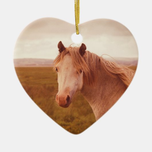 ヴィンテージの野生馬 セラミックオーナメント (正面)