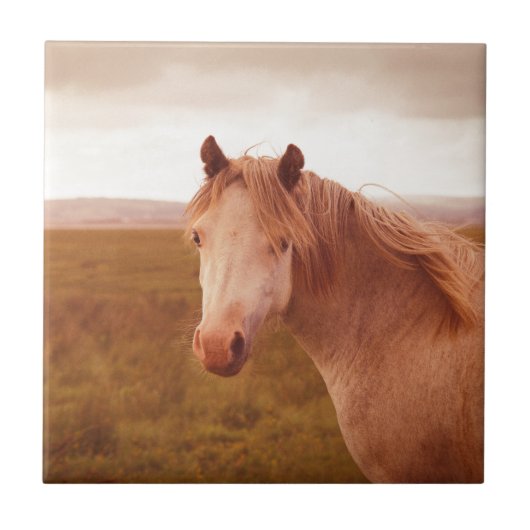 ヴィンテージの野生馬 タイル (正面)
