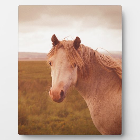 ヴィンテージの野生馬 フォトプラーク (正面)