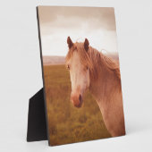 ヴィンテージの野生馬 フォトプラーク (側面)