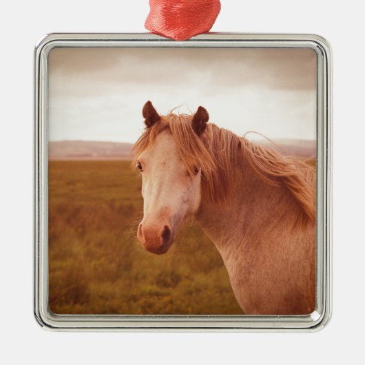 ヴィンテージの野生馬 メタルオーナメント (正面)