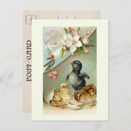 ヴィンテージの雛、イースターエッグ、野生のバラ ポストカード (正面/裏面)