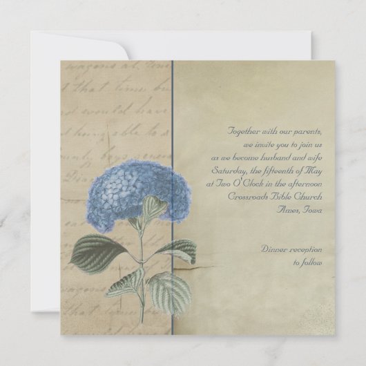 ヴィンテージの青いアジサイの結婚式 招待状 (裏面)