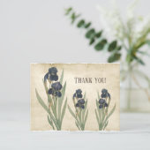 ヴィンテージの青ひげアイリスありがとう ポストカード (スタンド正面)