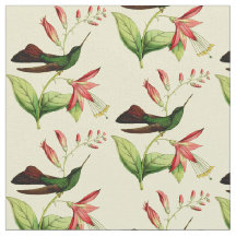 ヴィンテージの青銅によって後につかれるPlumeleteerのハチドリ