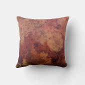 ヴィンテージの革 クッション (裏面)