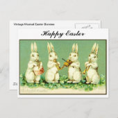 ヴィンテージの音楽的なイースターのウサギ シーズンポストカード (正面/裏面)