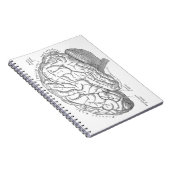 ヴィンテージの頭脳の解剖学 ノートブック (右側)