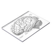 ヴィンテージの頭脳の解剖学 ノートブック (左側)