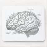 ヴィンテージの頭脳の解剖学 マウスパッド<br><div class="desc">ヴィンテージの頭脳の解剖学</div>